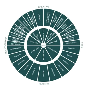 Leadership Circle Profile 360 graden feedback leiderschap